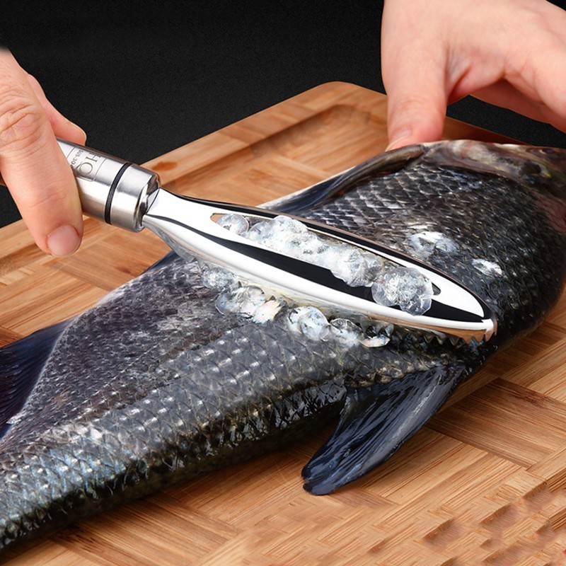 Kitchen Gadgets Everyone Needs - موازين السمك غير القابل للصدأ كشط