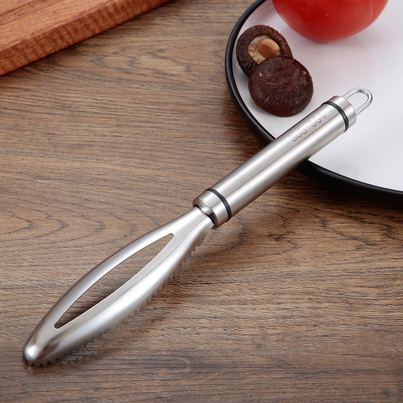 موازين السمك غير القابل للصدأ  - مراجعة Kitchen Gadgets Everyone Needs وسعره